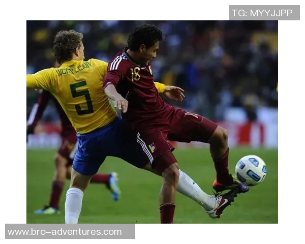 卢卡斯雷瓦的传奇人生与艺术成就探秘之旅